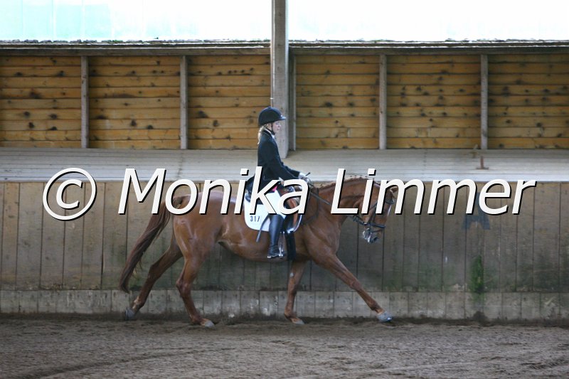 006M6576_Dressurpferde A.JPG